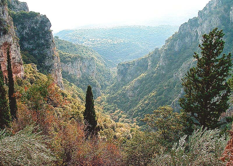 Το φαράγγι του Λούσιου Το φαράγγι του Λούσιου