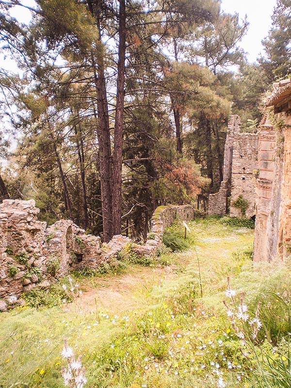 Μέρος του φυσικού τοπίου που περιβάλλει την καστροπολιτεία του Μυστρά Μέρος του φυσικού τοπίου που περιβάλλει την καστροπολιτεία του Μυστρά